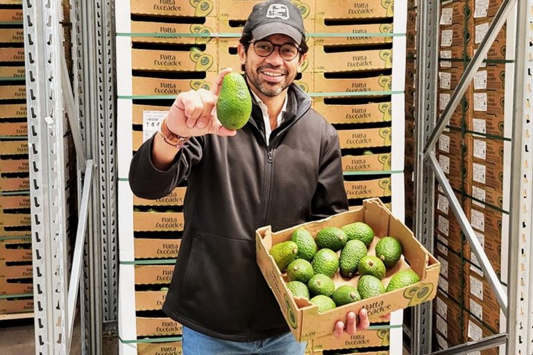 “This Peruvian avocado season is really a puzzle that we are barely starting to put together”