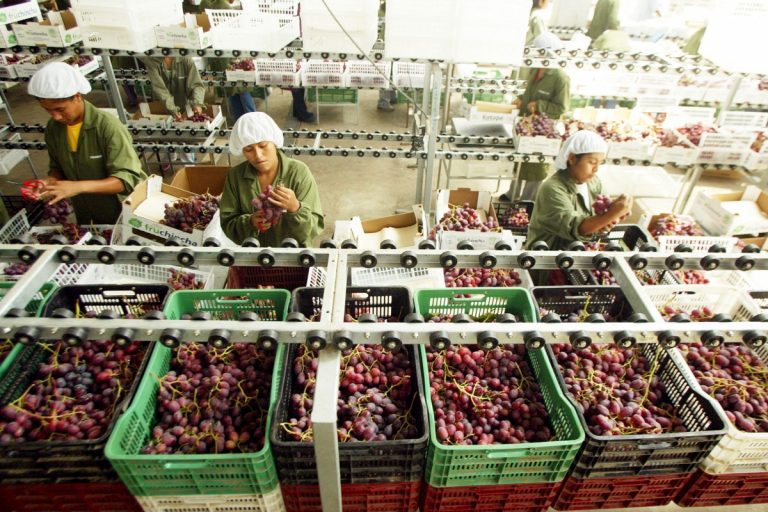 In the first quarter of the year, Peruvian agricultural exports increased by 8.7%