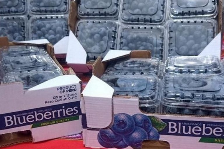 “Peru’s blueberries are expected to achieve a new growth record in this 2024/2025 campaign”