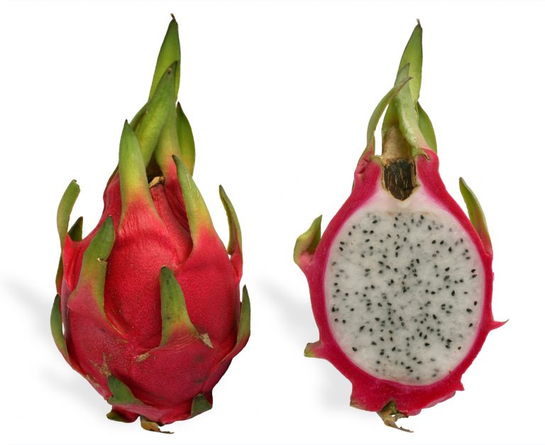 Spain and the Netherlands, the main destination markets for Peruvian pitahaya